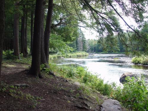 Riverside Cabin — Potsdam — photo 5