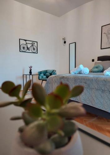 Studio Apartman Kiara — 4-Star Luxury Hotel in Zadar, Croatia