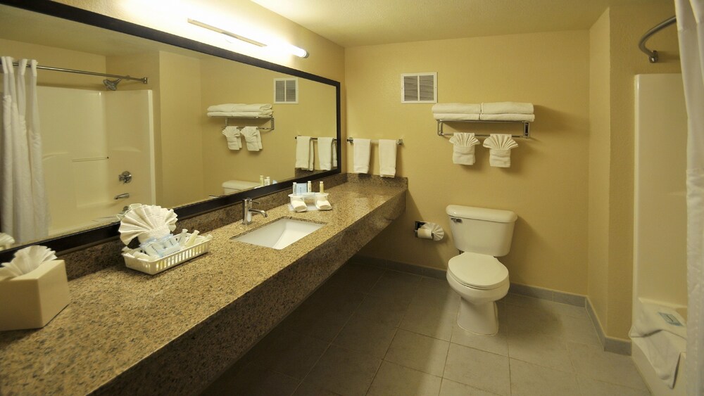 Holiday Inn Express & Suites Denver SW Littleton by IHG - photo 13