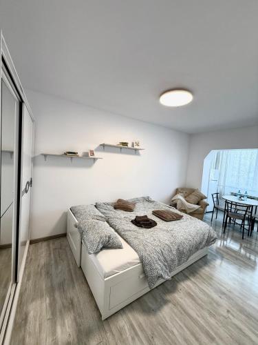 Modern Studio — Falticeni — photo 2