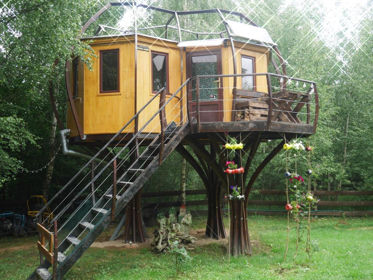 Piece of Heaven And Piece of Dream in Zarnesti, Romania