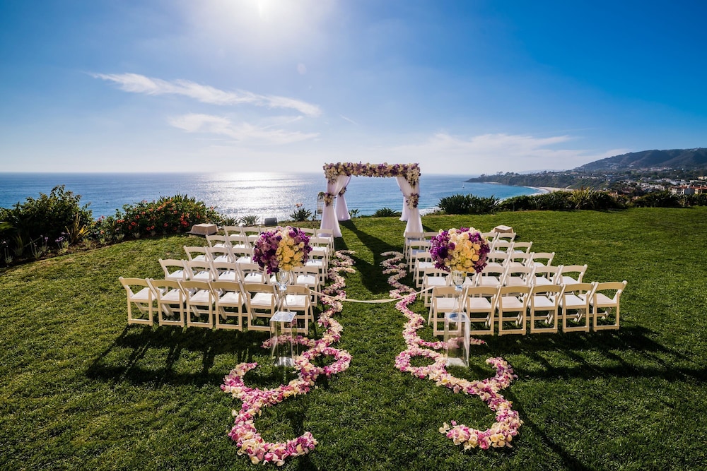 The Ritz Carlton Laguna Niguel - photo 157