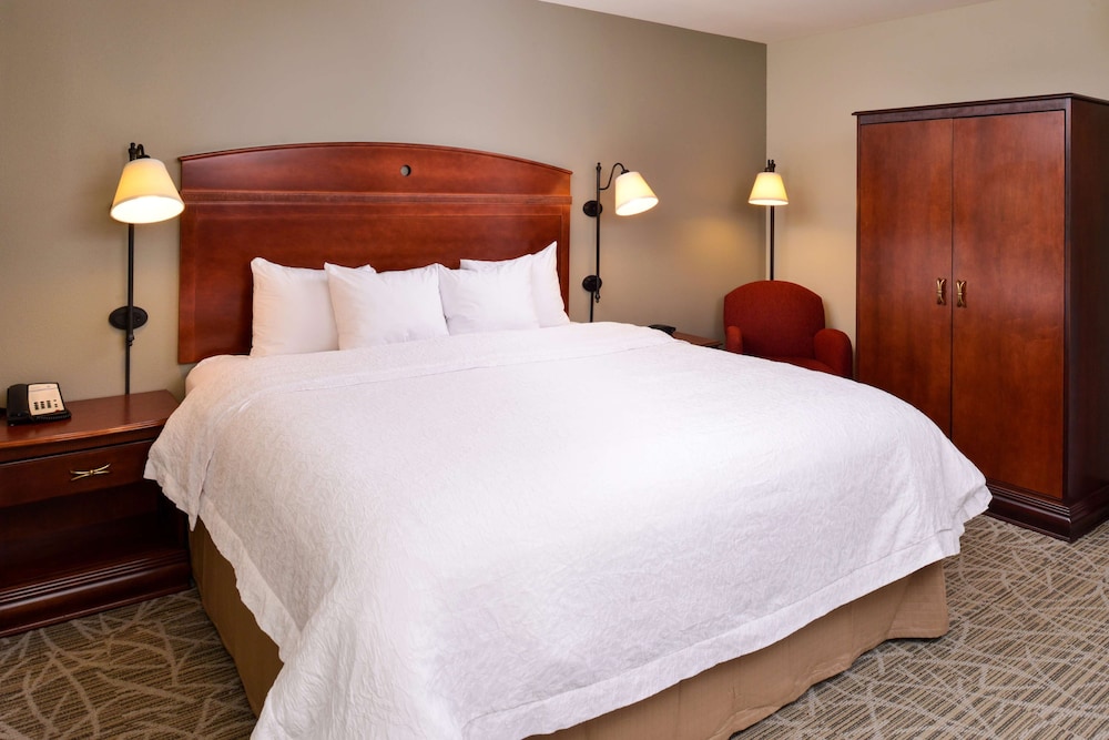 Hampton Inn by Hilton Litchfield - photo 19