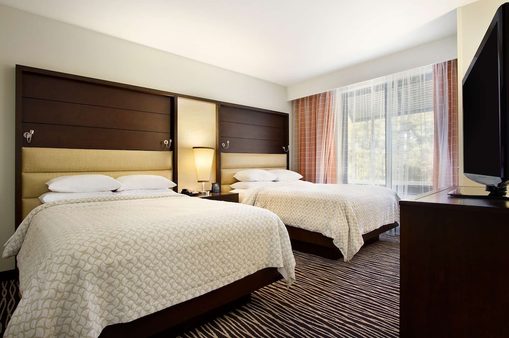 Embassy Suites by Hilton Fayetteville Fort Bragg - photo 10