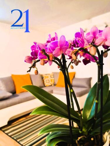 Apartman 21 — 4-Star Luxury Hotel in Zagreb, Croatia