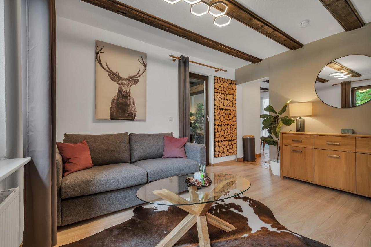 HIRSCH Stadt Apartment 6 Balkon mit Flussblick Parkplatz — 4-Star Luxury Hotel in Bad Harzburg, Germany