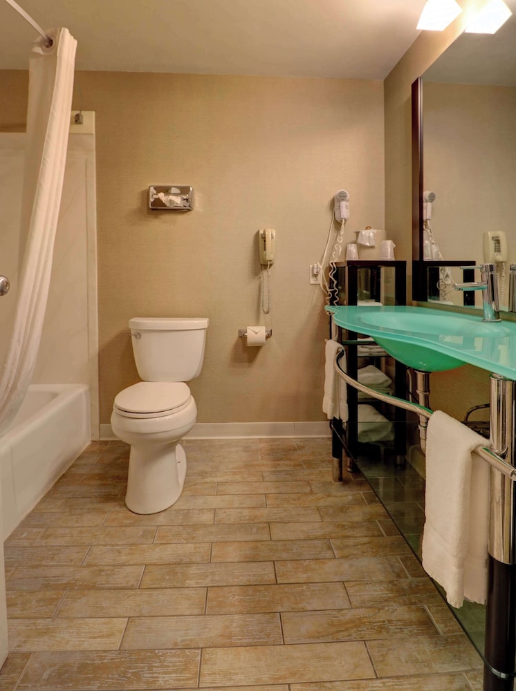 Senator Inn & Spa - photo 77
