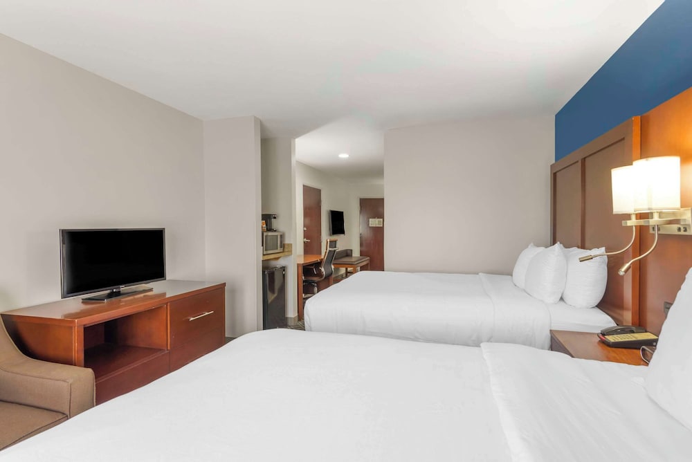 Comfort Suites Atlanta Airport - photo 10
