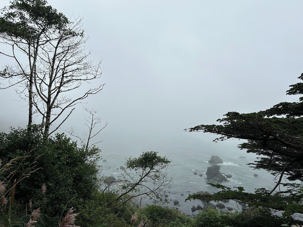 The Pinc - photo 59