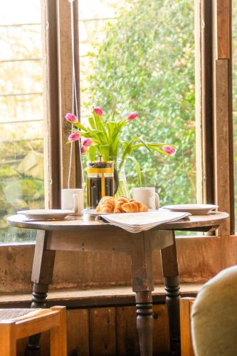 Cabbage Patch in Beaumaris, United Kingdom