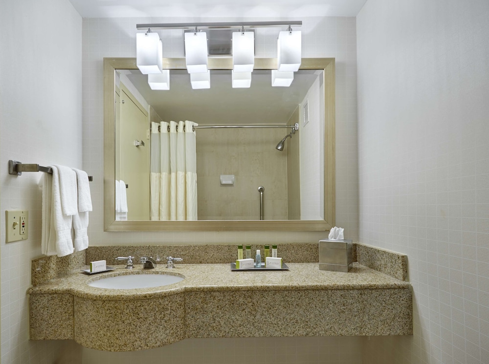Hotel Silver Spring - photo 54
