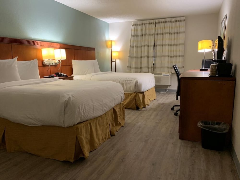 The Hotel Orange - photo 11