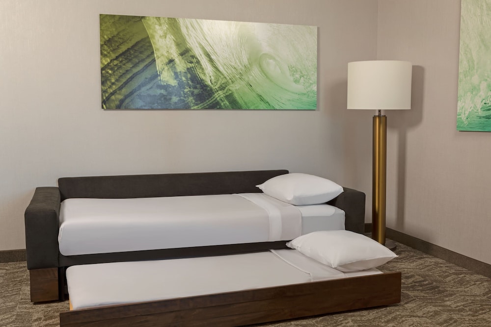SpringHill Suites by Marriott West Sacramento - photo 11