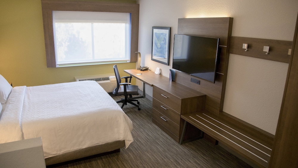 Holiday Inn Express & Suites Colorado Springs North by IHG - photo 19