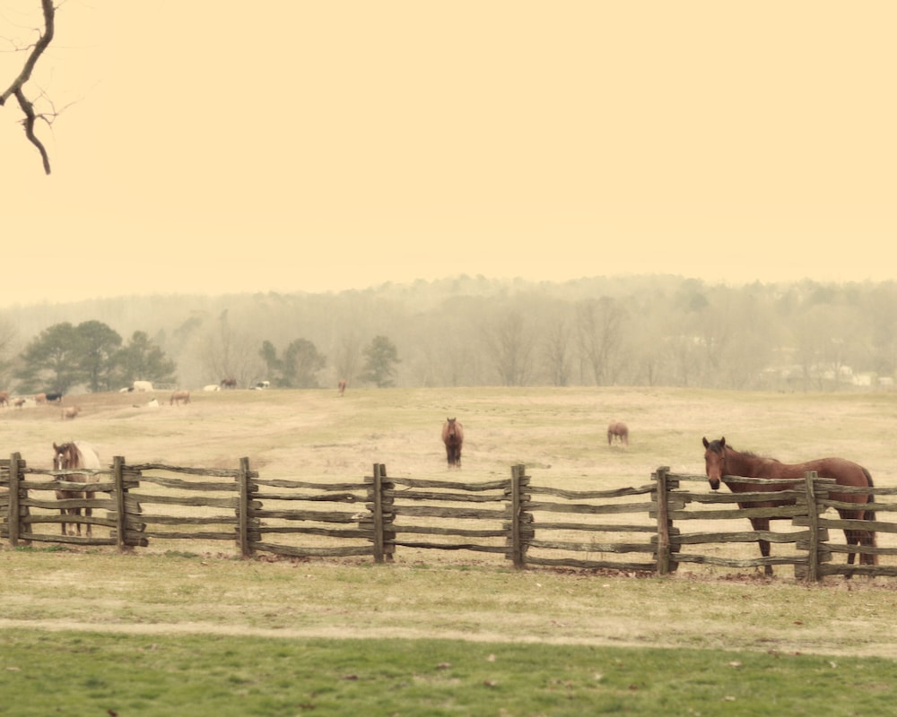 Seventy four Ranch - photo 60