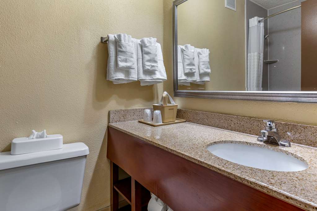 Comfort Inn Fort Mill Amusement Park at Carowinds Blvd - photo 15