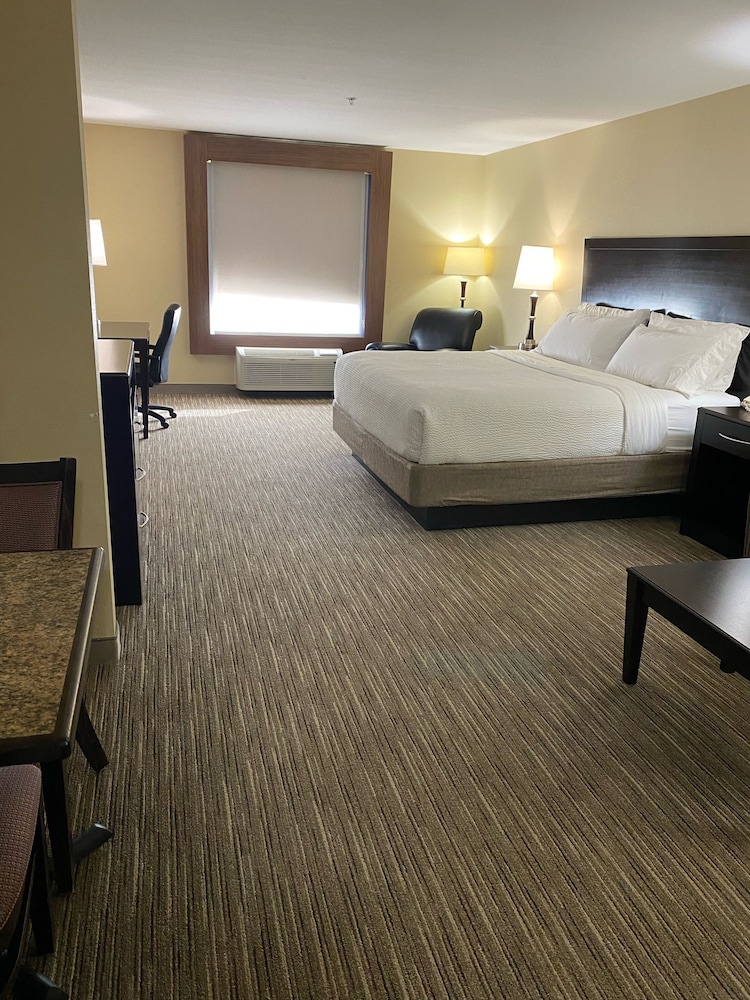 Holiday Inn Express &Suites Snyder by IHG - photo 7