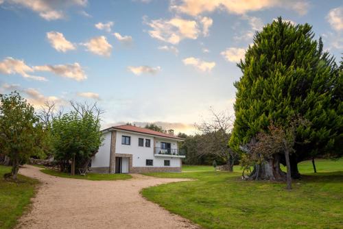 Finca Bacelo Ribeira Sacra — Sober