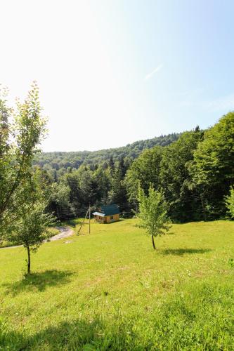 Gribochok in Yaremche, Ukraine