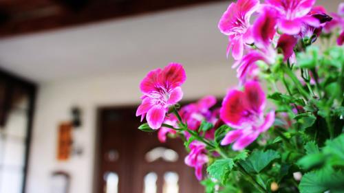 Hot l Mini in Nagykanizsa, Hungary