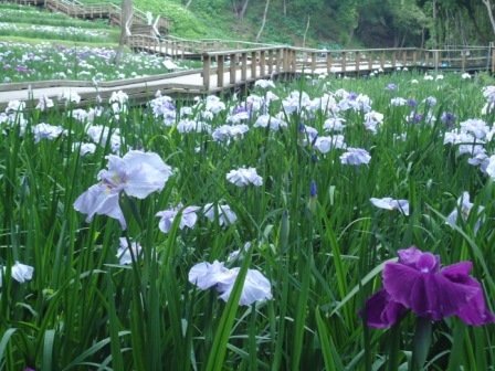 Amakusa Onsen Hotel Shikisakikan in Almaty, Kazakhstan