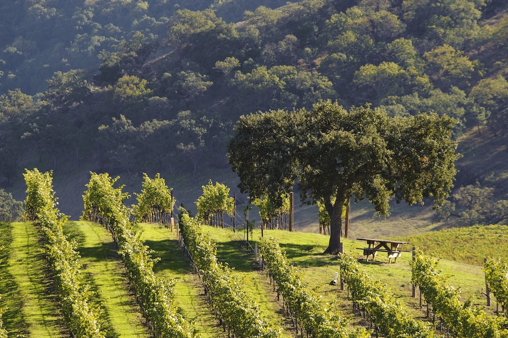 Rosewood Cordevalle - photo 38