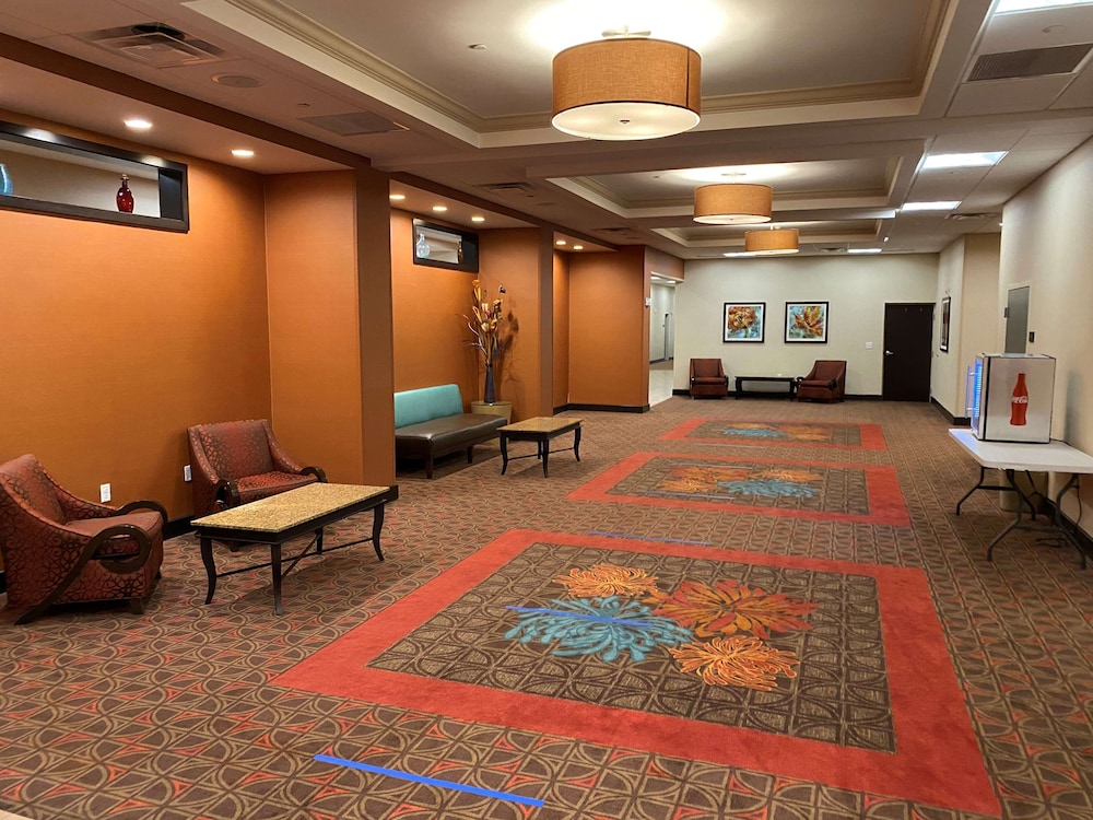 Hampton Inn & Suites Tampa Northwest Oldsmar - photo 39