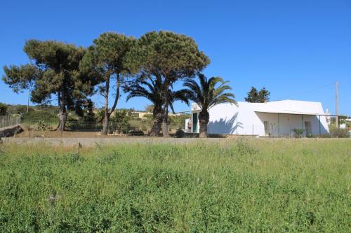 Liama 1 Bilocale Con Vista Mare Nel Salento — Salve