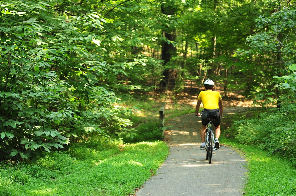 Barren River Lake State Resort Park - photo 36