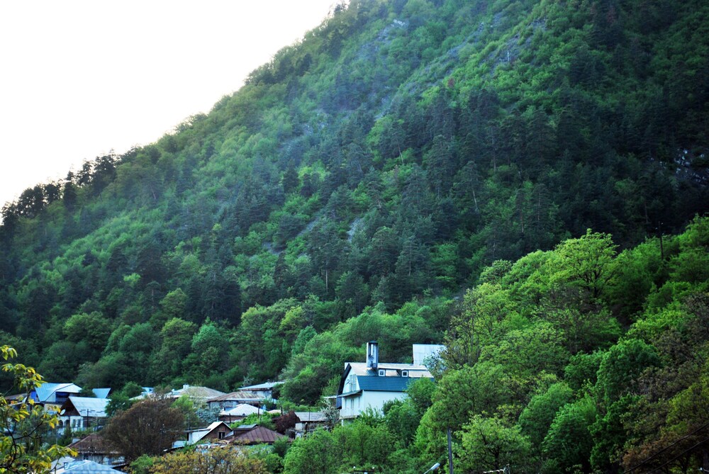 View from Hotel