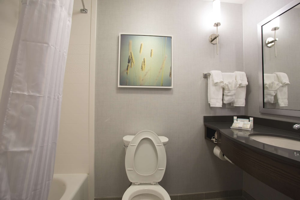 Hilton Garden Inn Bolingbrook I 55 - photo 24