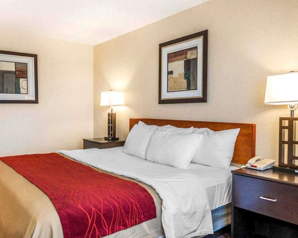 Comfort Inn Avon Indianapolis West - photo 17