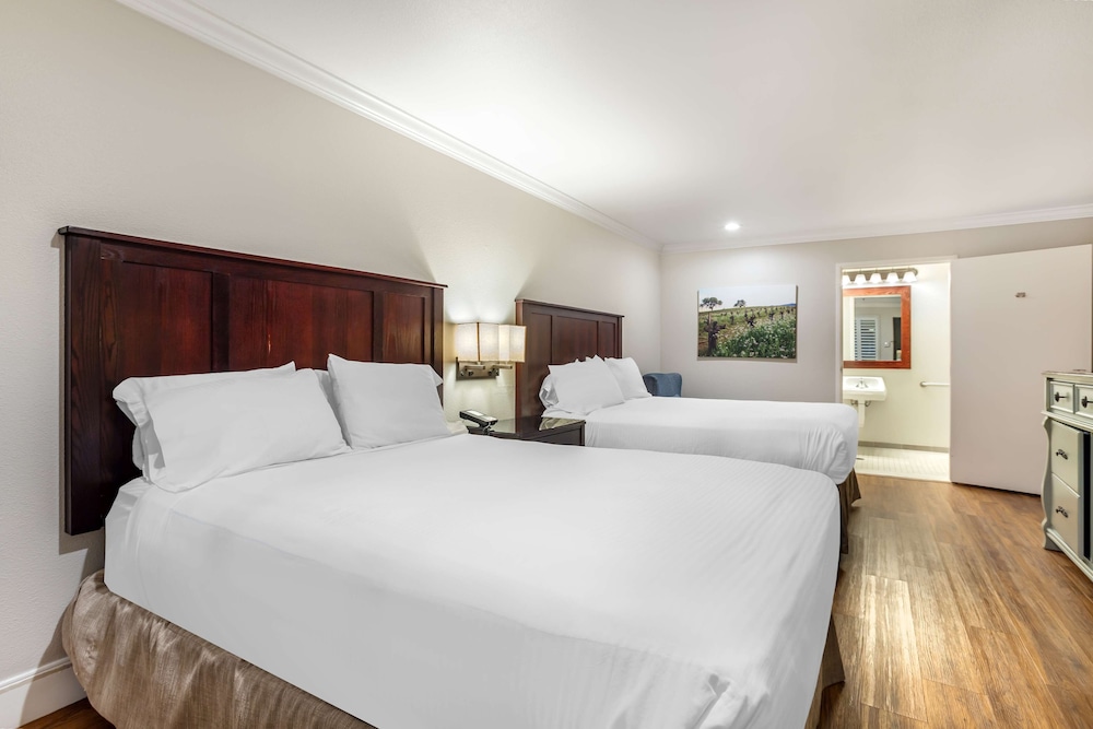 Dry Creek Inn MOD Collection by Sonesta - photo 19