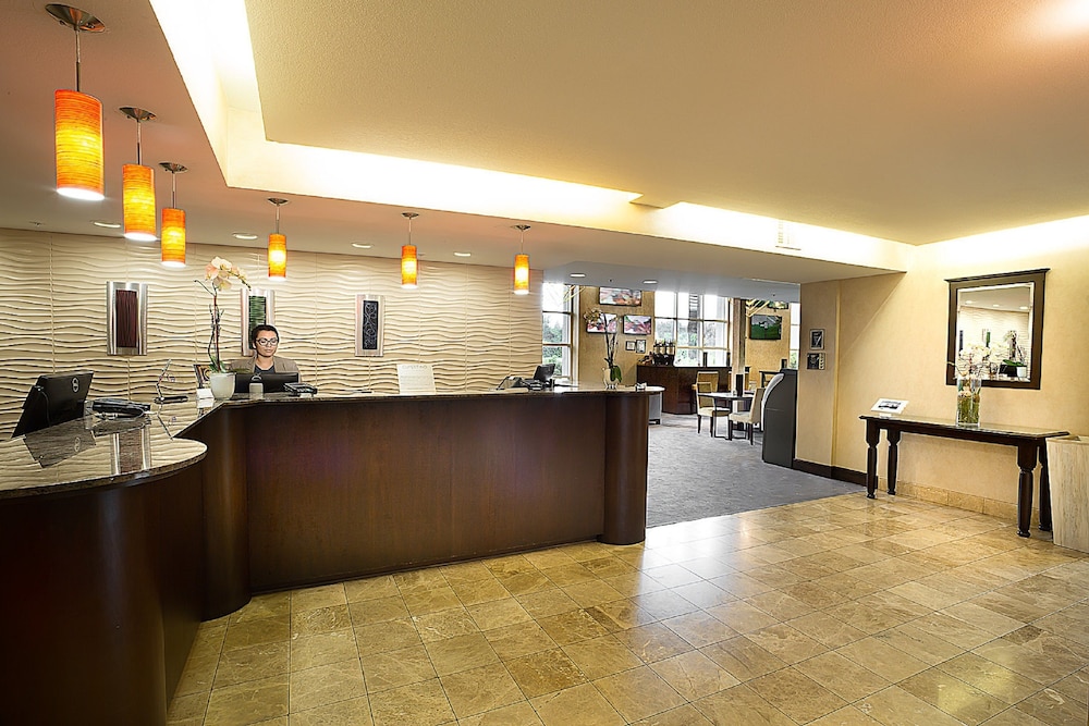 Cupertino Hotel - photo 3