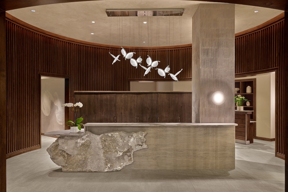 The St. Regis Aspen Resort - photo 10