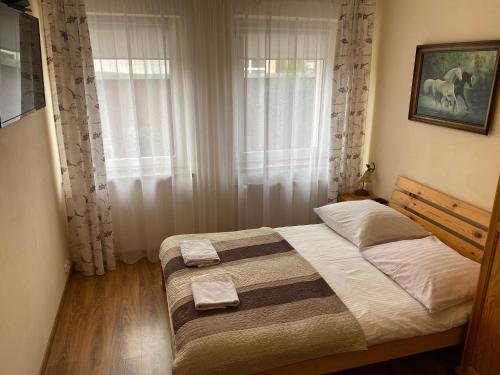 Pokoje Sylwia z aneksami kuchennymi w każdym pokoju in Ustron, Poland