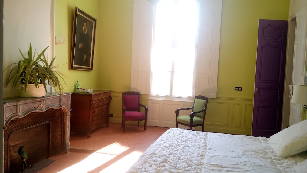 Palais de Luppé — Arles — photo 3