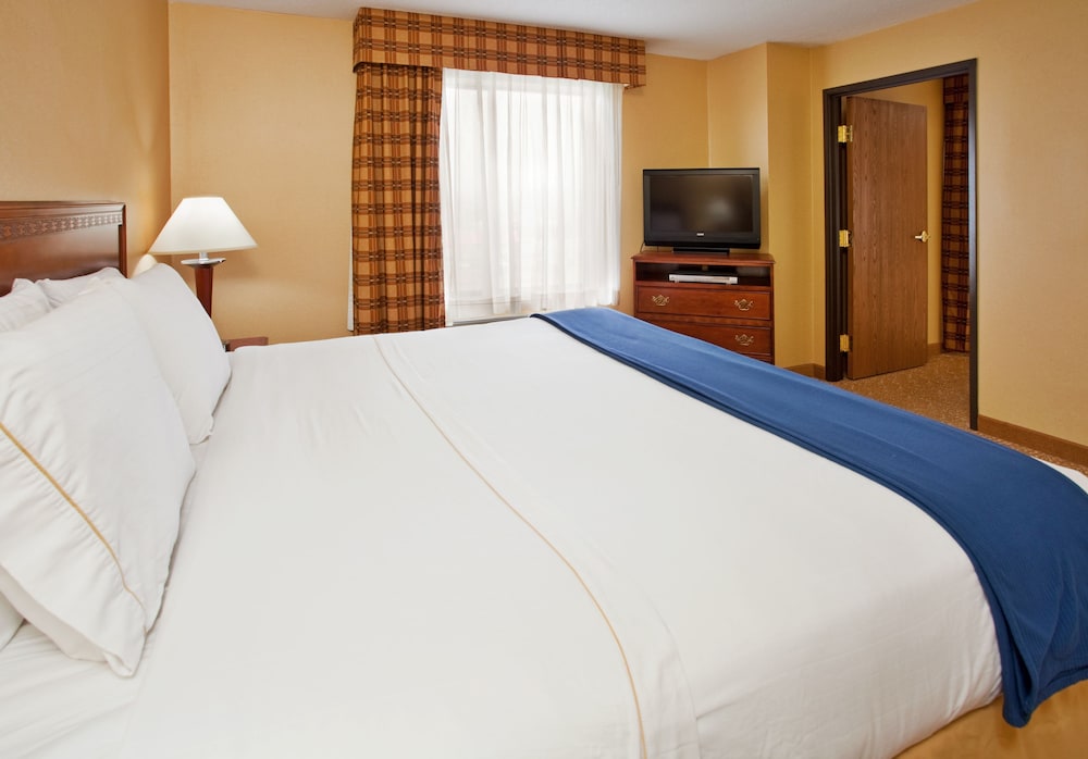 Holiday Inn Express & Suites St. Louis West Fenton an IHG Hotel - photo 3