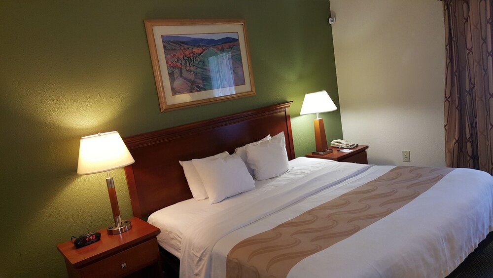 Quality Inn & Suites Hotel West Chester - photo 8