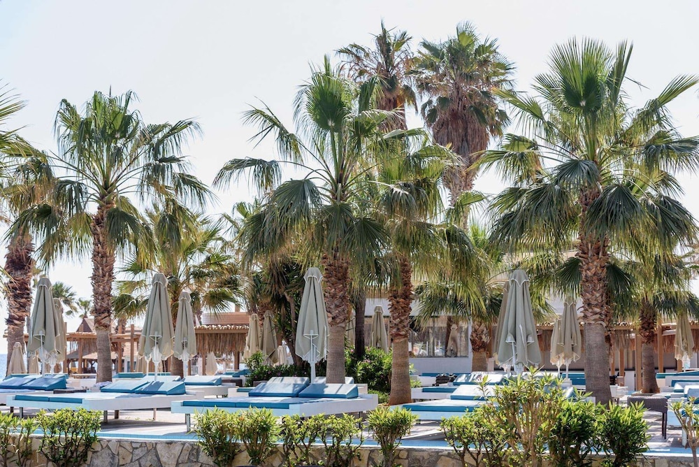 שטחי חוץ / גן