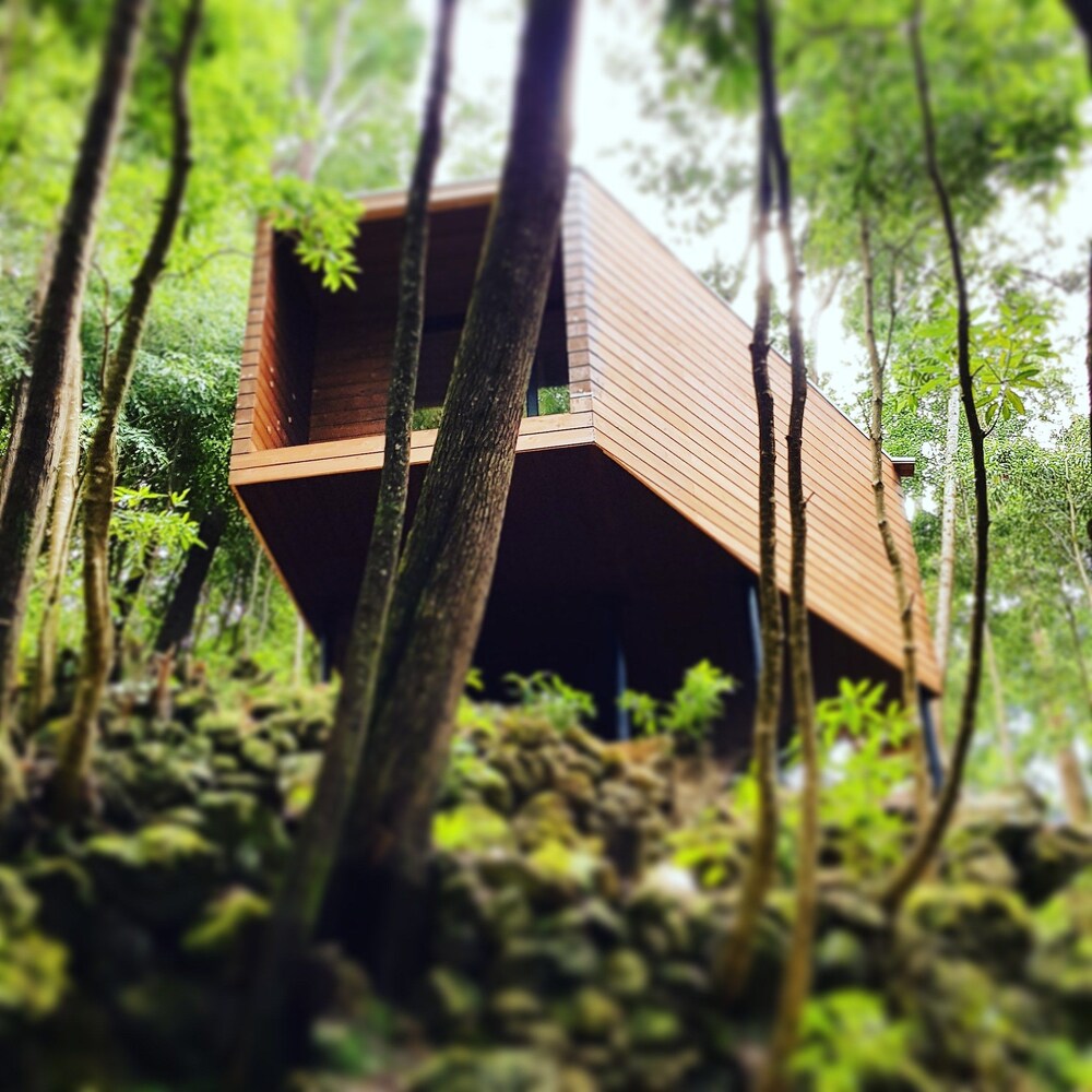 Caparica Azores Ecolodge — hotel in Praia Da Vitoria