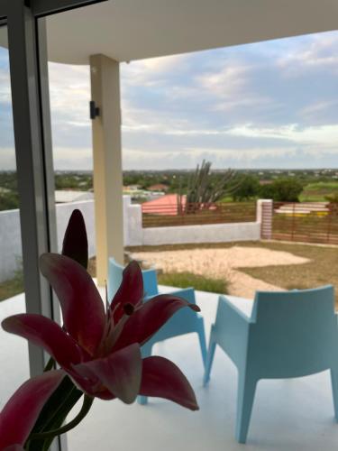 Quiet happy place with a view — 4-Star Luxury Hotel in Willemstad, CURAÇAO