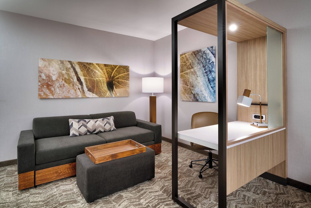 SpringHill Suites by Marriott El Paso Airport - photo 7