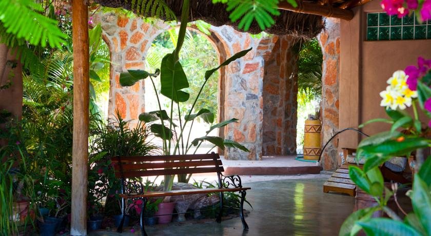 Serendipity — Todos Santos — photo 5