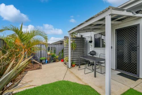 Secret on Seagrass in Vincentia, Australia