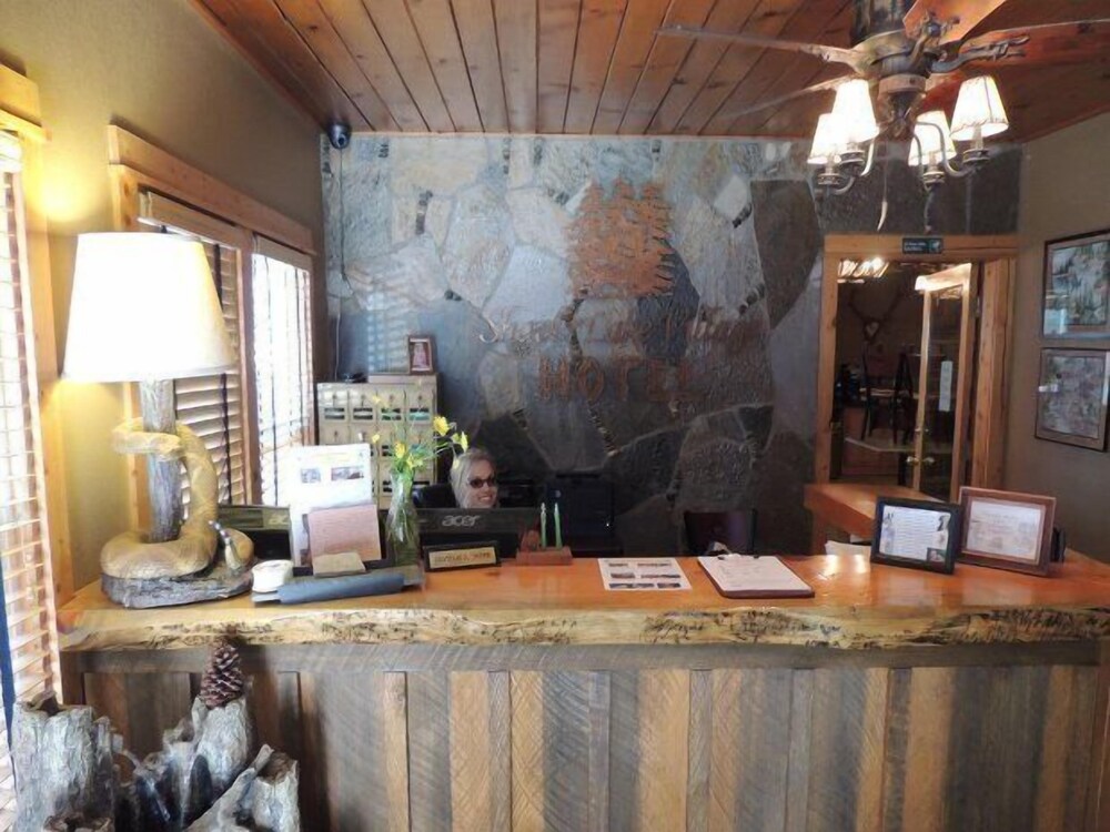 Shaver Lake Village Hotel - photo 2