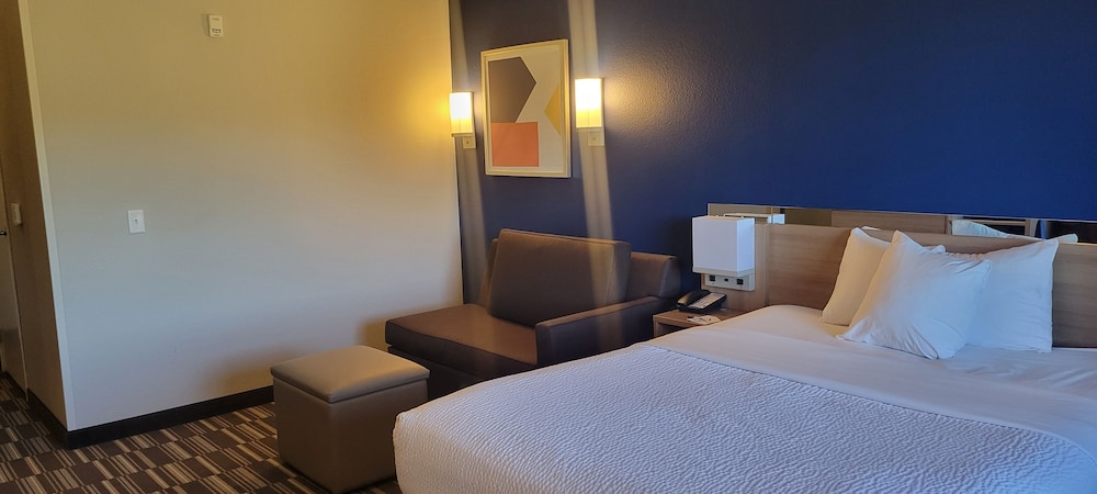 Microtel Inn & Suites by Wyndham Fountain Fort Carson - photo 18