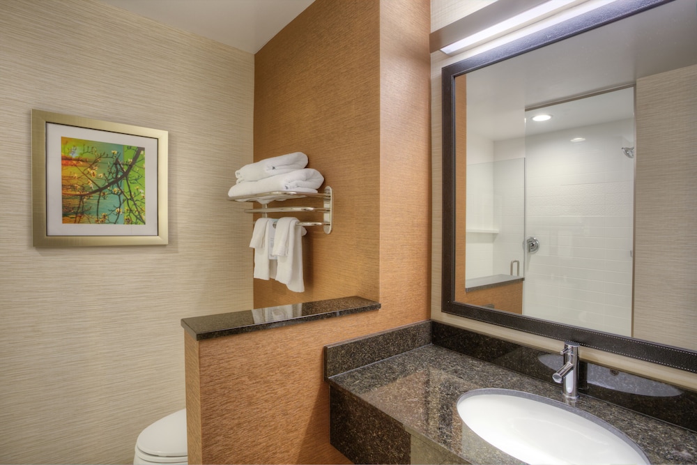 Fairfield Inn & Suites by Marriott Austin San Marcos - photo 19