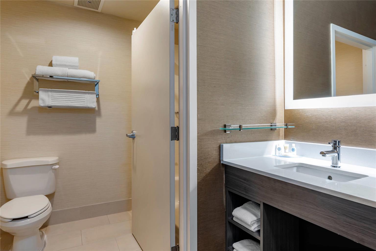 Comfort Inn & Suites North Dallas Addison - photo 23