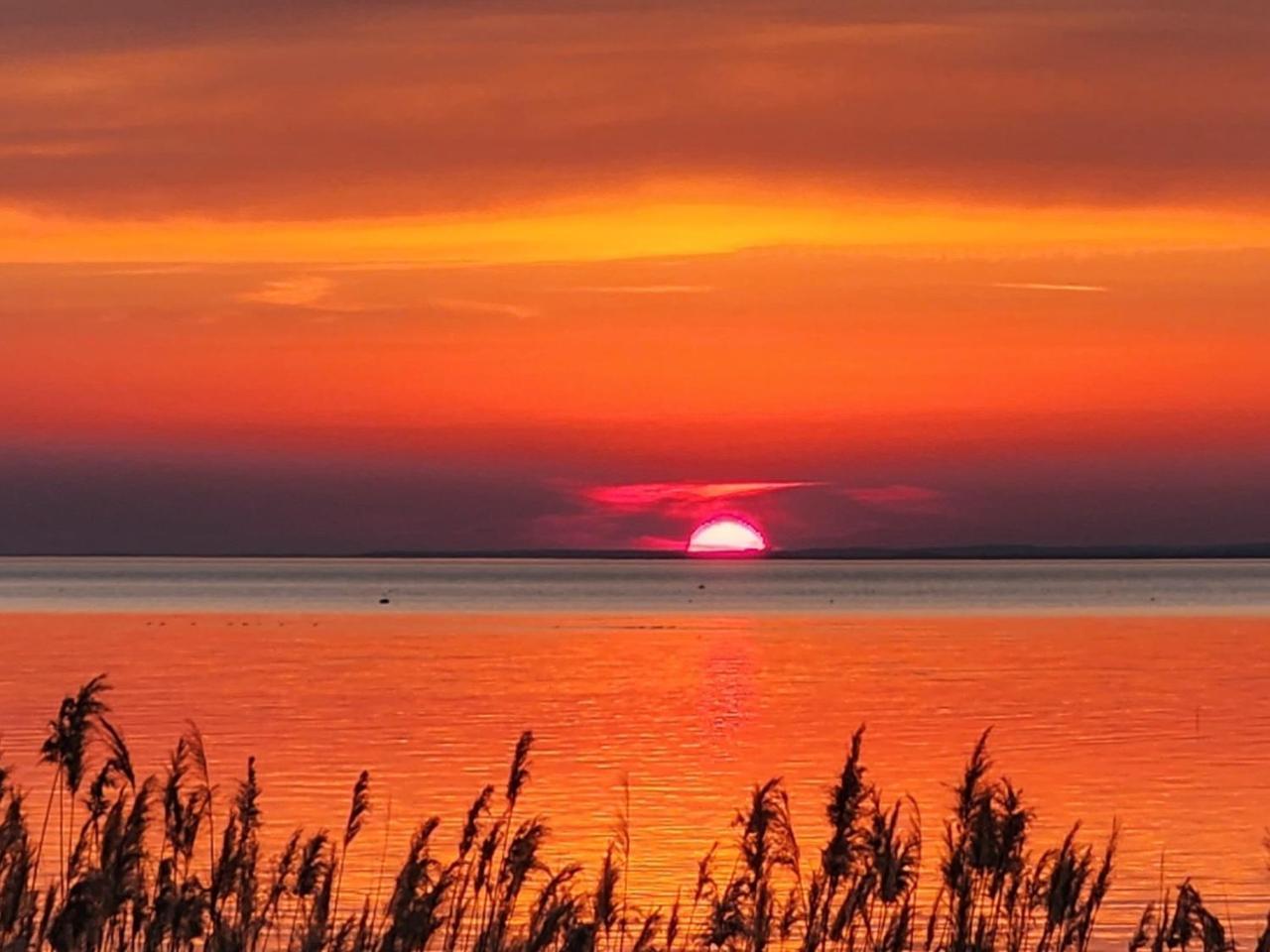 Ház a szígeten in Fonyod, Hungary
